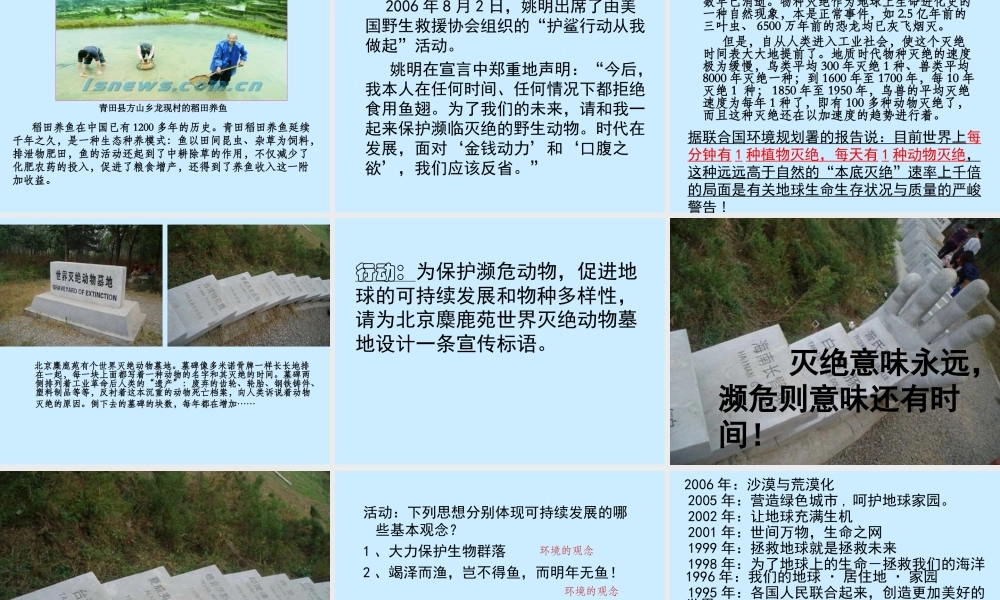 灭绝之恶果多米诺骨牌.ppt