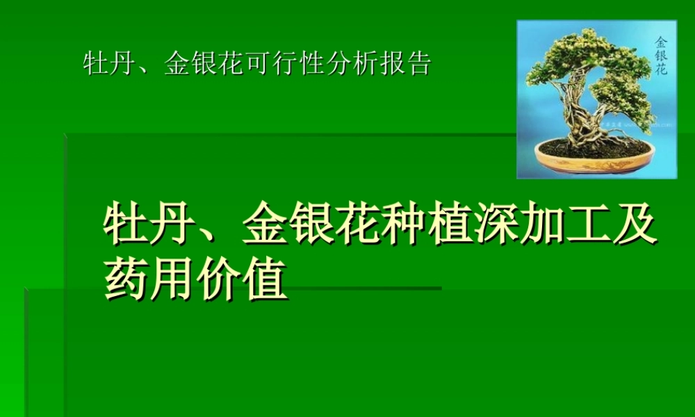 牡丹的药用价值-(1).ppt