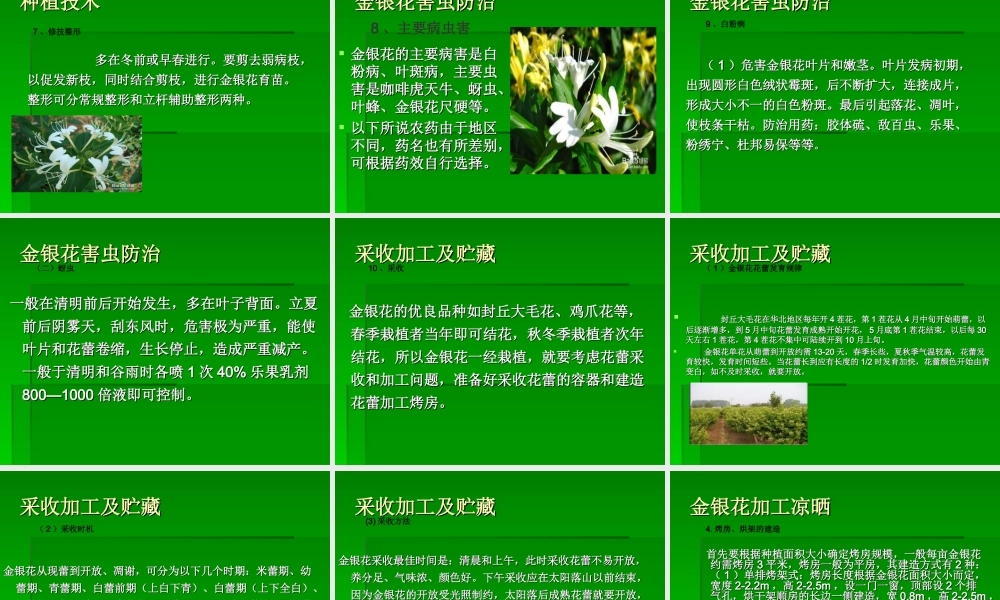 牡丹的药用价值-(1).ppt