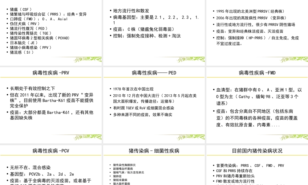 猪传染病概况.ppt