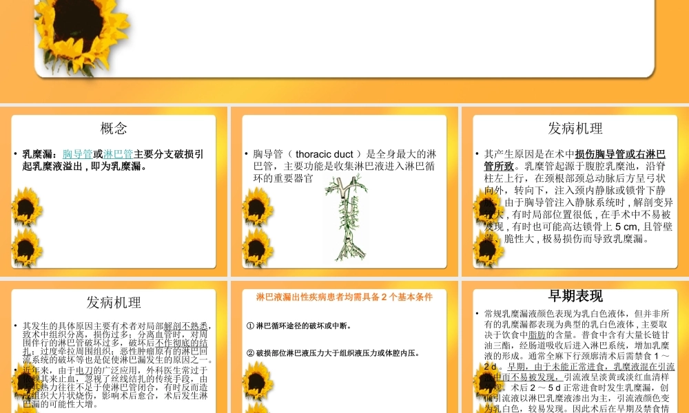 淋巴漏&乳糜漏.ppt