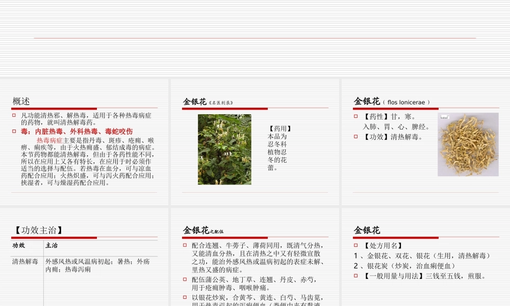 清热解毒.ppt