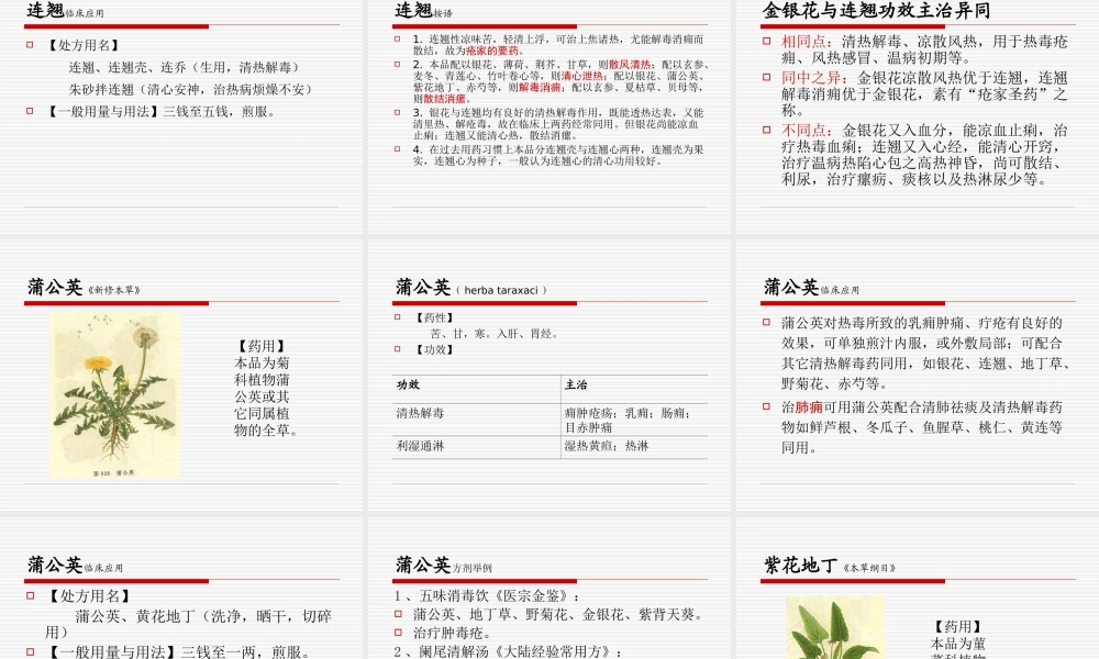 清热解毒.ppt
