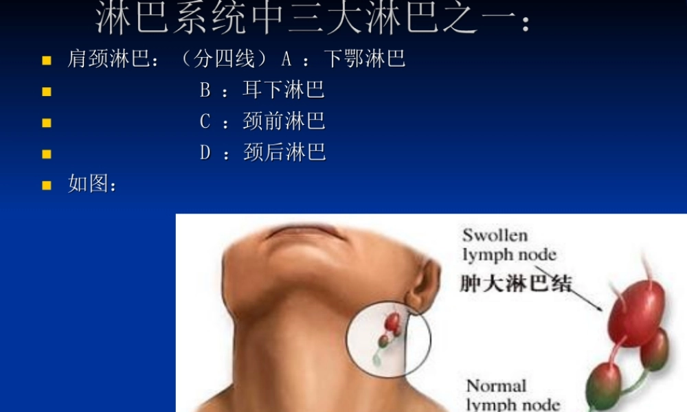 淋巴风暴-ding.ppt