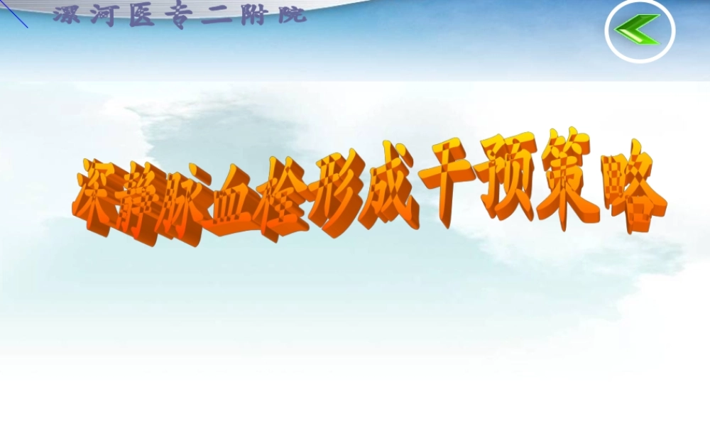 深静脉血栓干预策略.ppt