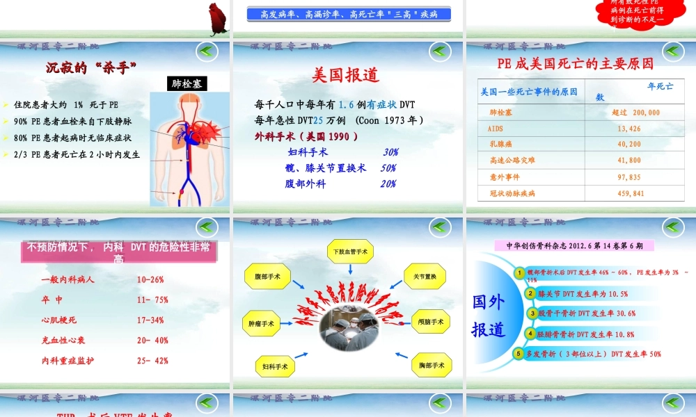 深静脉血栓干预策略.ppt