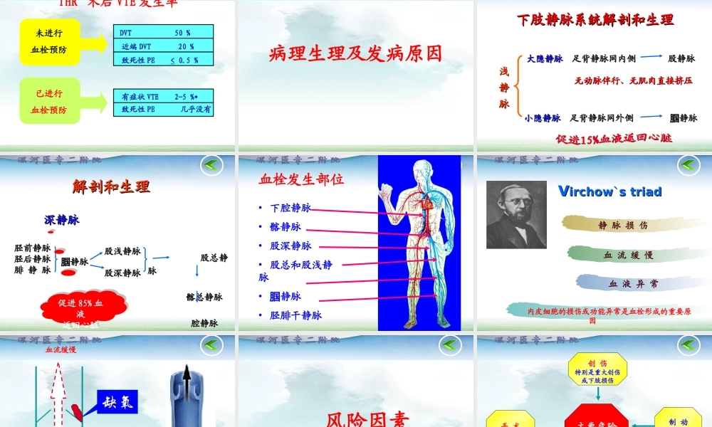 深静脉血栓干预策略.ppt