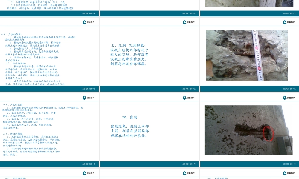 混凝土质量通病的防治措施讲义..ppt
