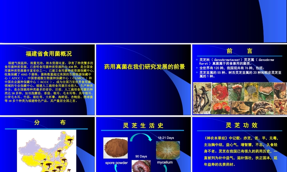 灵芝与健康(供参考).ppt