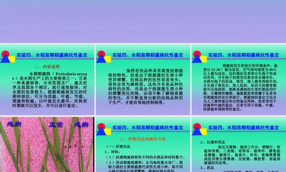 熟悉水稻苗期稻瘟病的症状特征.ppt