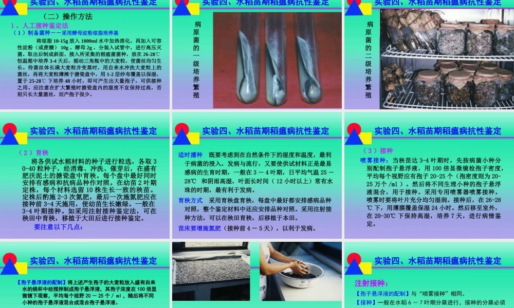 熟悉水稻苗期稻瘟病的症状特征.ppt