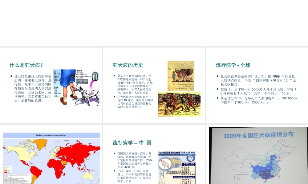 狂犬病防控与暴露后处置.ppt