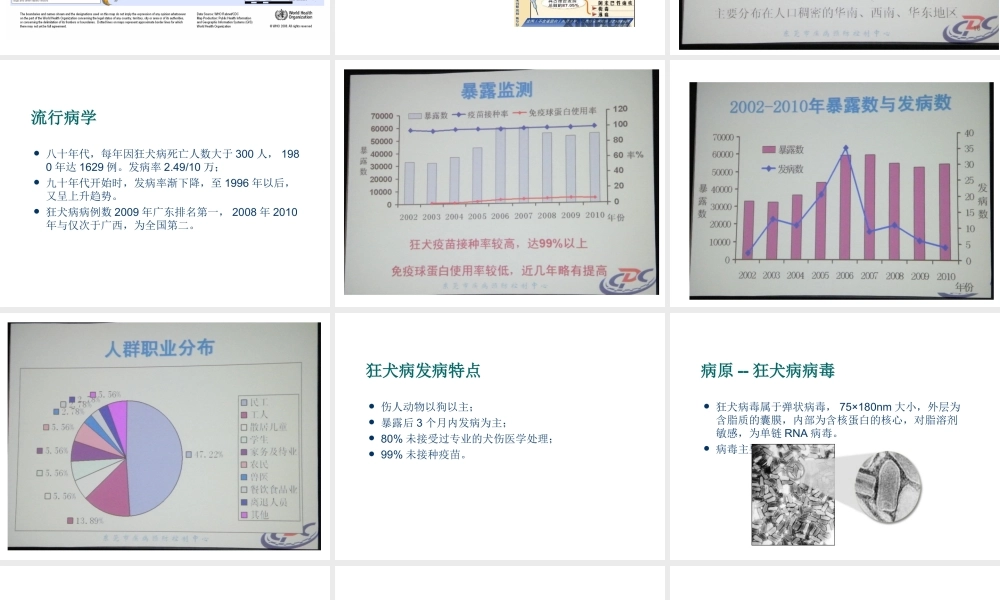 狂犬病防控与暴露后处置.ppt
