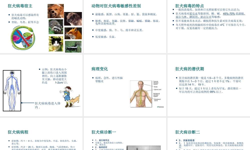 狂犬病防控与暴露后处置.ppt