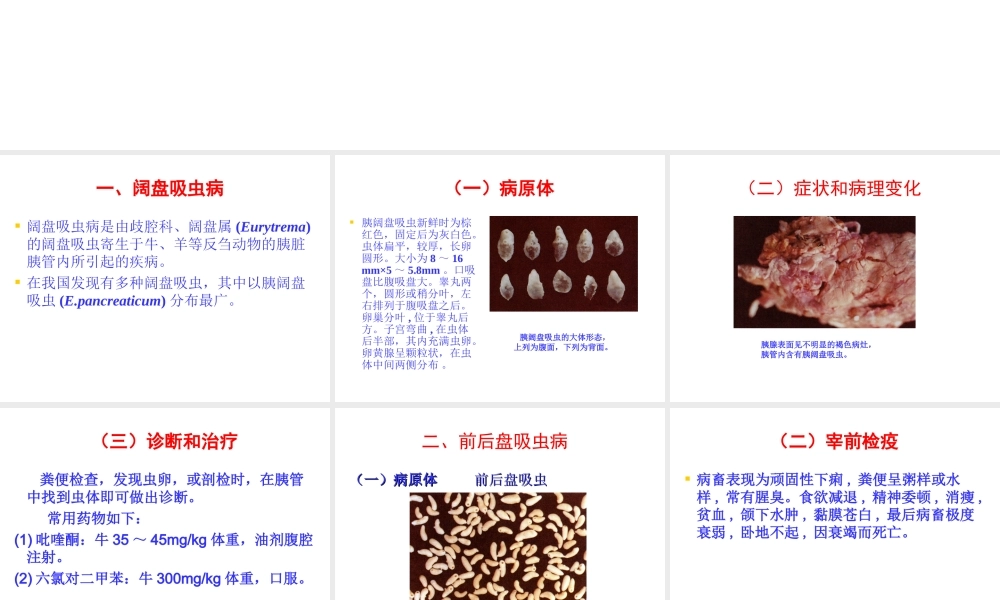 牛的寄生虫病.ppt