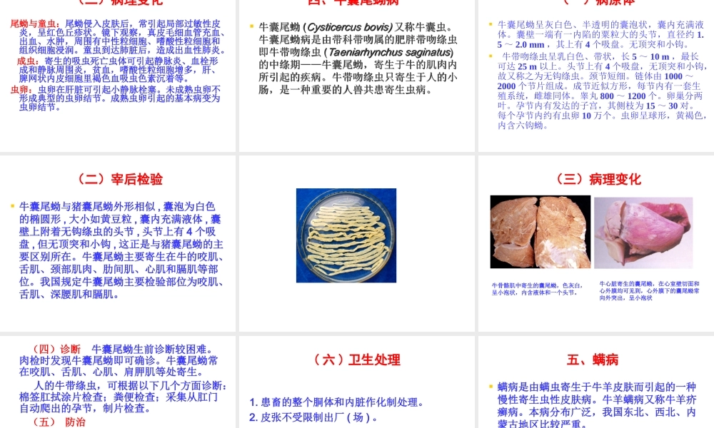 牛的寄生虫病.ppt