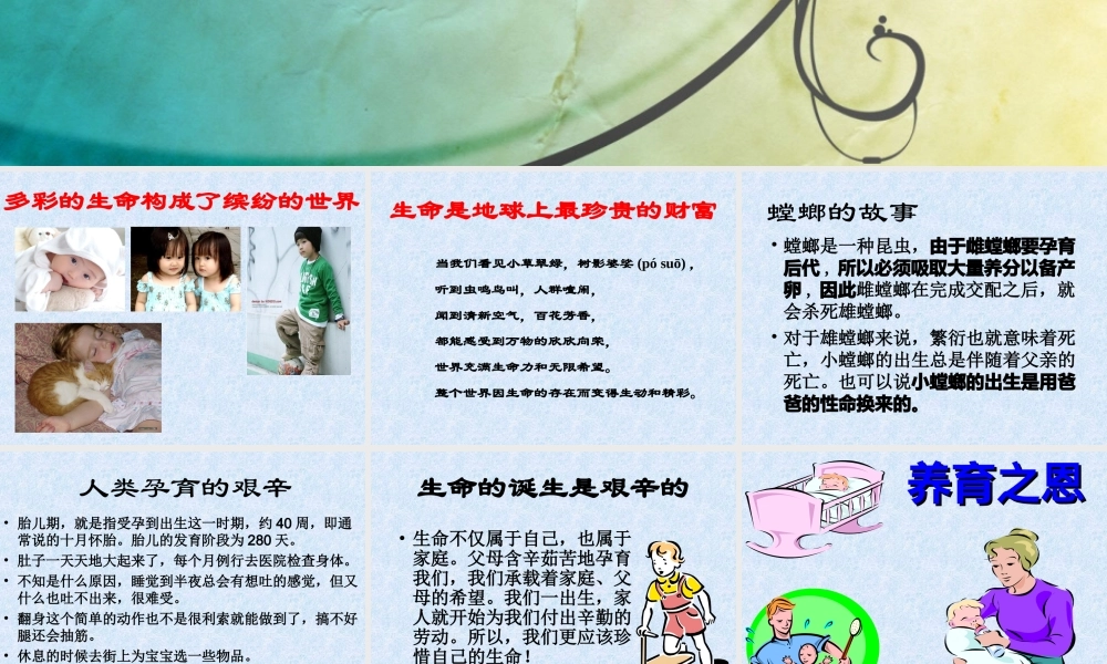 珍爱生命-拥抱健康.ppt