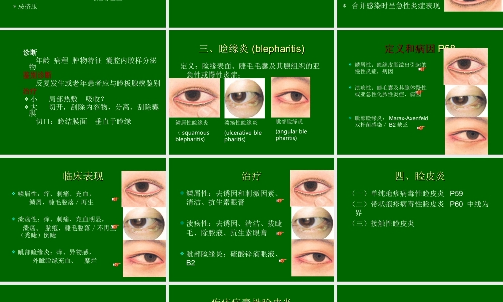 眼睑-泪器病.ppt