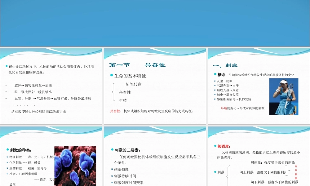 神经和肌肉生理.ppt