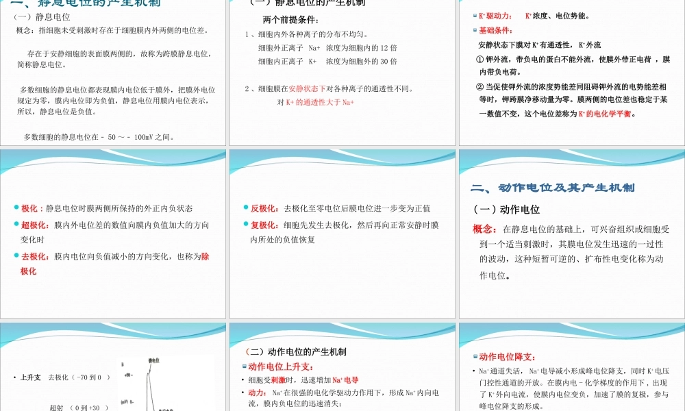 神经和肌肉生理.ppt