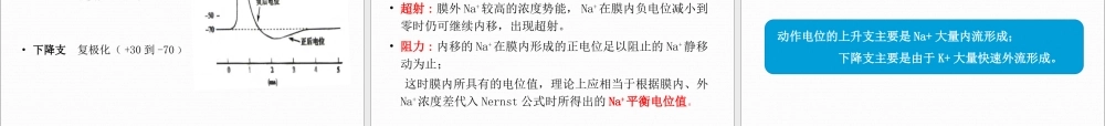 神经和肌肉生理.ppt