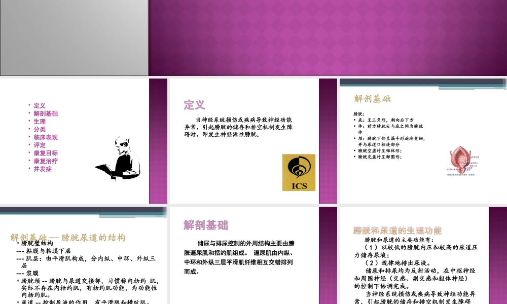 神经源性膀胱的康复.ppt