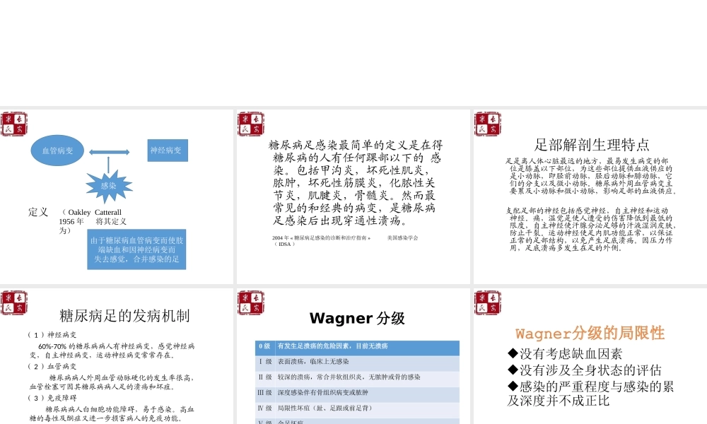 糖尿病足中西医结合诊疗.ppt