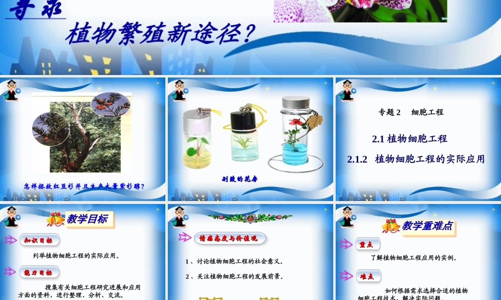 植物细胞工程的实际应用分析.ppt