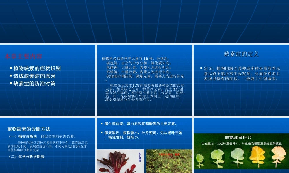 植物缺素症的识别与防治.ppt