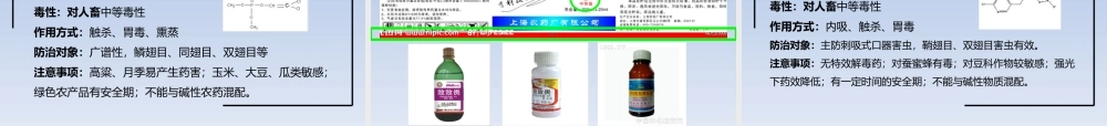 植保知识(农药基础).pptx