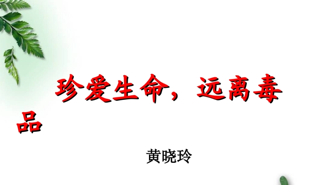 毒品的种类及识别.ppt