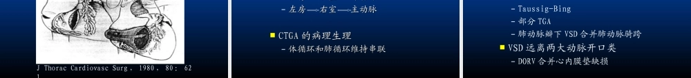沈向东教授关于复杂先心病的手术方式选择.ppt