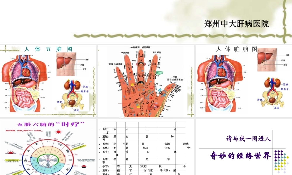 河南省肝病医院.ppt