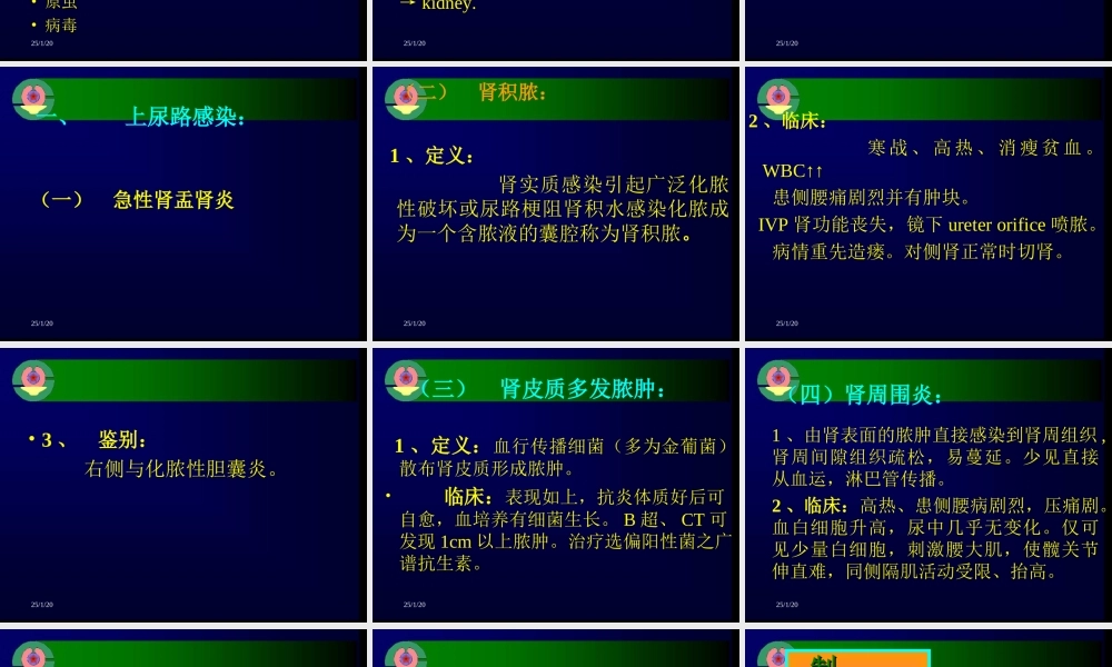 泌尿及男性生殖系感染详解.ppt