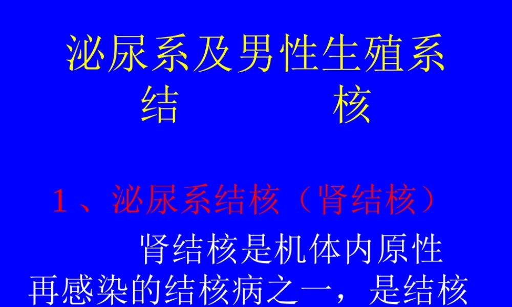 泌尿系及男性生殖系结核.ppt