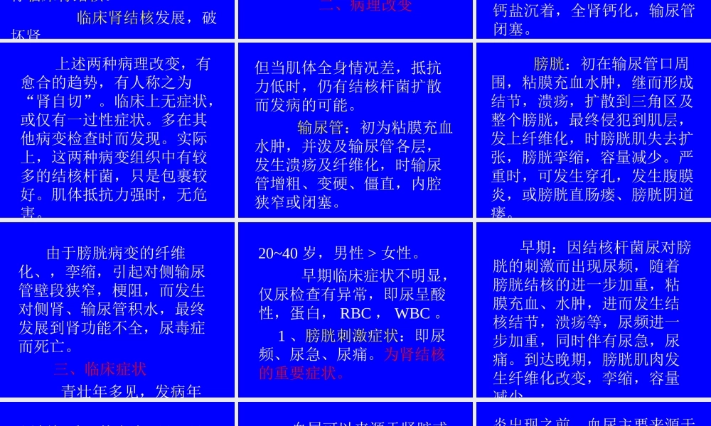 泌尿系及男性生殖系结核.ppt