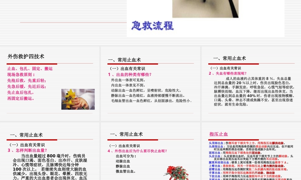 止血包扎固定搬运.ppt