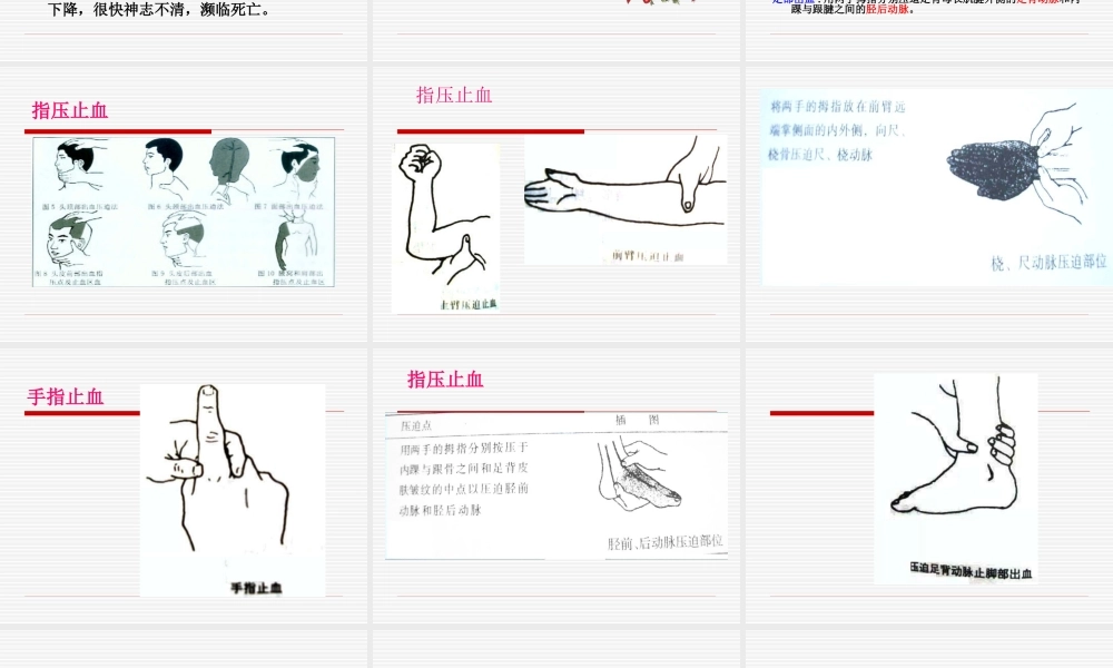 止血包扎固定搬运.ppt