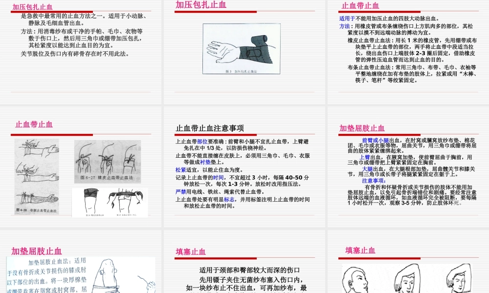 止血包扎固定搬运.ppt