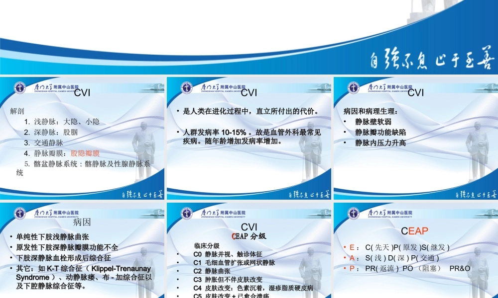 泡沫硬化剂与静脉曲张.ppt