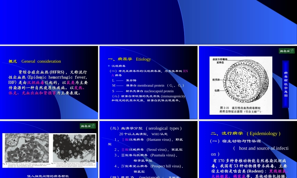 流行性出血热.ppt2009.ppt1.ppt