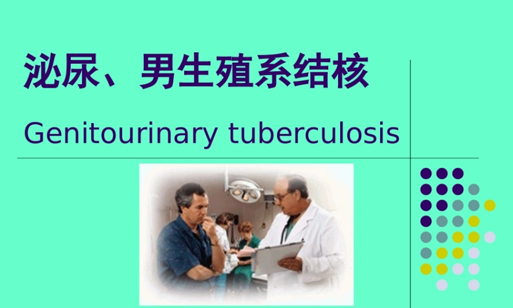 泌尿、男生殖系结核.ppt
