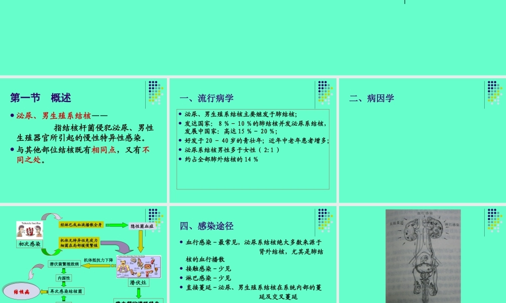 泌尿、男生殖系结核.ppt