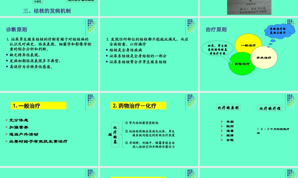 泌尿、男生殖系结核.ppt