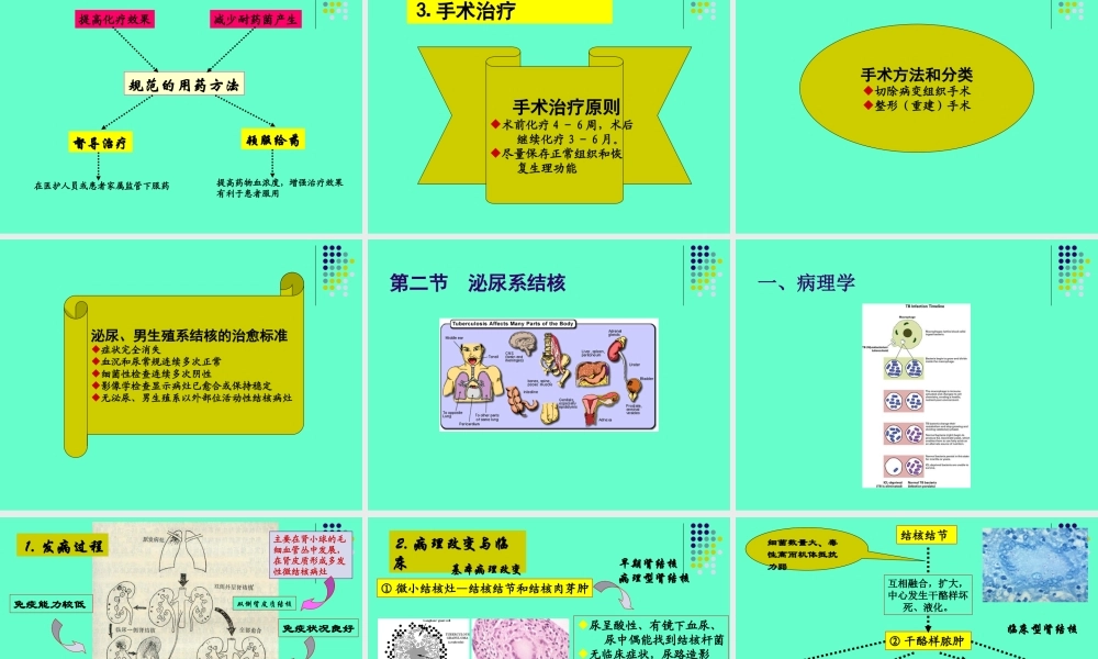 泌尿、男生殖系结核.ppt