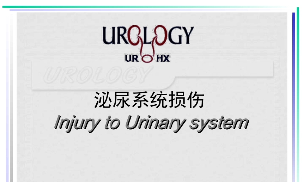 泌尿损伤5.ppt