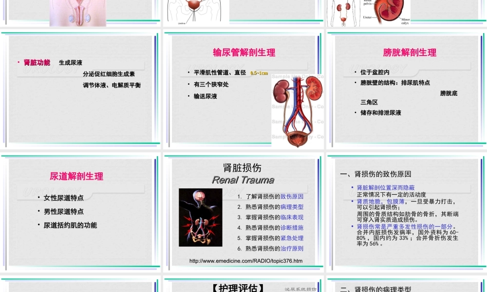 泌尿损伤5.ppt