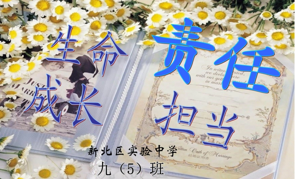 生命成长-责任担当.ppt