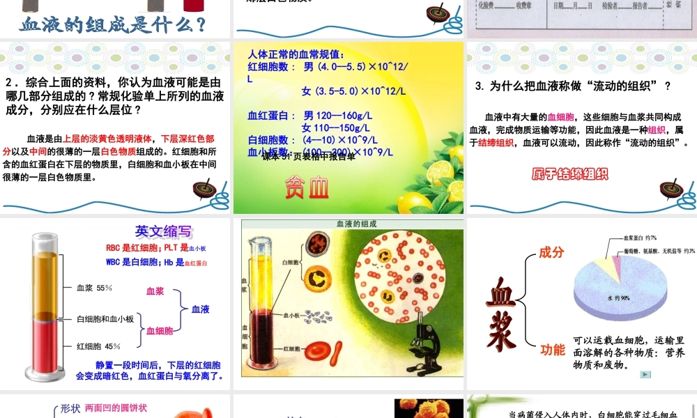 流动的组织——血液.ppt
