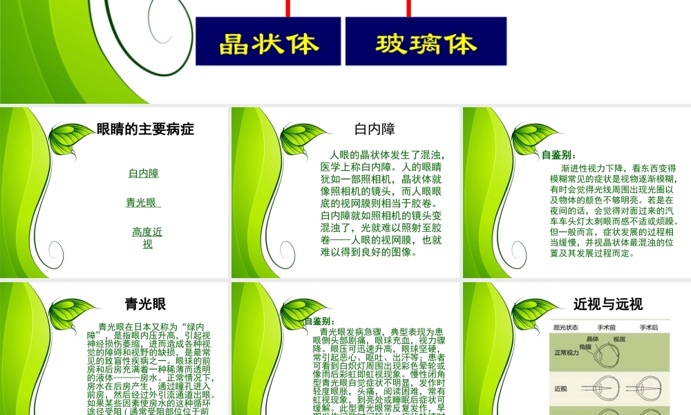 爱眼镜爱视力.ppt